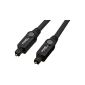 AmazonBasics Toslink optical digital audio cable, 3 m (electronic)
