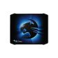 Roccat Alumic Double-Sided Gaming Mousepad (Personal Computers)