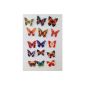 15 piece decorative butterflies with magnet magnet Butterfly Magnet