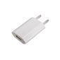 EU USB Charger AC Adapter for iPhone 5 5S 4S 4 3GS iPod Touch Nano (Electronics)