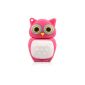 818 tech No16500020004 Hi-Speed ​​2.0 USB Flash Drives 4GB Owl bird owl 3D pink (electronics)