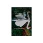 Starlings, a swan upside: One hundred sonnets, insignia going to .... (Paperback)