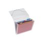 Faechermappe A4 Crystal 12 compartments stained (Office supplies & stationery)