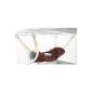 Little Friends Toy tunnel-like rodent (Miscellaneous)