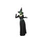 Witch Costume Costume Green Witch for Damenkostüm Halloween Ladies Costume Halloween Costume (Toys)