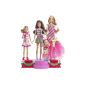 Mattel W2989 -. Barbie, Stacie, Skipper and Chelsea Enchanting Christmas dolls including stage (Toys)