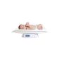 Versatile baby scale electronic scale 25kg - Model evolutionary scales-mail package weighs PROMOTION + Adapter FREE SECTOR (Baby Care)