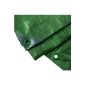 Noor Fabric Plane PP / PE, green, 3.00 x 5.00 m (garden products)