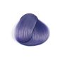 Directions Hair Dye LILAC (Personal Care)