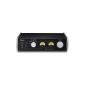 TEAC AX-501 Fully balanced amplifier | Black (Electronics)