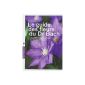GUIDE OF BACH FLOWER DOCTOR (Paperback)