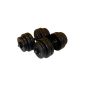 Good dumbbells at a top price
