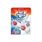 WC Frisch Kraft-Aktiv Duftspüler with chlorine-force balls, WC Fresh, 5-pack (5 x 1 piece) (Health and Beauty)