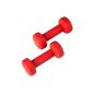 Ultrafit by Ultrasport Dumbbells Gymnastics neoprene with soft touch handle & anti-roll function (Sport)