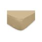 Sun Tan Fitted Sheet Taupe 614820 160 x 200 cm (Kitchen)
