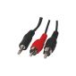 Bulk CABLE-458 / 2.5 cable Stro 3.5mm Male to 2 RCA Male (Accessory)