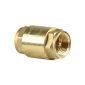 SaniFri 470010084 brass check valve (Europe) long form, with spring, valve disc made of brass with rubber seal, PN25, dimensions 1 inch (tool)