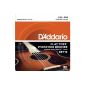 D'Addario Phosphor Bronze string set for EFT13 guitar 0.04 cm - 0.14 cm (.016 - .056 inches) (Electronics)