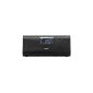 Sony XDR-DS21BT Radio / Clock Radio MP3 USB (Electronics)