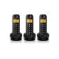 Philips D1153B / FR Cordless telephone with answering Trio 3 handsets Black (Electronics)