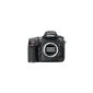 Nikon D800 SLR Digital Camera (36 Megapixel, 8 cm (3.2 inches) monitor, Live View, Full HD Video) body black (Electronics)