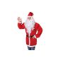 Wig and Beard Costume - Santa (Toy)