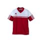 adidas Men's Clothing short-sleeved jersey Autheno 12 (Sports Apparel)
