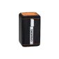 Grundig GSB 110 Bluetooth Speaker Black / Orange (Personal Computers)