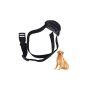 Chinatera PET853 Anti barking Nr. Sound Bark Control Collar Training for small medium sized dog barking (Textiles)