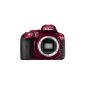 Nikon D5300 Digital SLR Camera (24.2 megapixels, 8.1 cm (3.2 inch) LCD, Full HD, HDMI, WiFi, GPS, AF system with 39 focus points) only housing Red (Electronics)