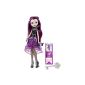 Mattel Ever After High BFW94 - Raven Queen, Doll (Toy)