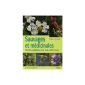 Wild and medicinal: Plants remedies for our little aches (Paperback)