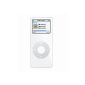 Apple iPod nano MP3 player 4GB white (Electronics)