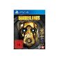 Borderlands: The Handsome Collection - [Playstation 4] (Video Game)