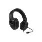 Good headset with a good price / performance ratio