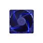 XILENCE COO-case fan XPF80.TBL 80x25mm (Blue LED) (Personal Computers)