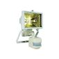 Byron ES120W halogen floodlight with motion detector 120 W White (Tools & Accessories)
