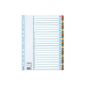 Leitz 100164 carton Register 1-31, A4, cardboard, 31 sheets, white (Office supplies & stationery)