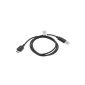USB Data Cable USB Data Cable for Samsung B5722 E2121 E2230 E2330 E2370 X-treme Edition F110 G400 i7110 Qbowl F700 (Electronics)