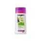 Alverde Repairing Shampoo Traube Avocado, 4-pack (4 x 200 ml) (Health and Beauty)