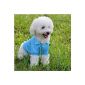 HuntGold New T-shirt cute clothing for dog animal puppy (blue Size: M) (Others)