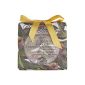 Nesti Dante Gli Officinali Ivy and Clove / ivy and pink soap, 200 g (Health and Beauty)
