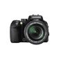 Fujifilm FinePix S100fs Digital Camera (11 Megapixel, 14x opt. Zoom, 2.5 