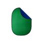 DynaSun RE2010 professional foldable oval base for key effect Blue / Green (Accessory)