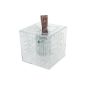 Maze Cube Money Box