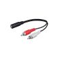 Wentronic Audio / Video cable (3.5mm stereo to 2x clutch RCA plug) 1.5 m (accessories)