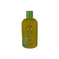 Lilly of the desert - moisturizing gel with aloe vera - 360 ml gel - for a soft and supple skin (Health and Beauty)