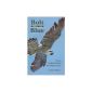 Bolt from the Blue: Wild Peregrines on the Hunt (Paperback)