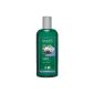 Logona - 1003shaequi - Beauty & the Hair - Shampoo Balancing the Juniper - 250 ml (Personal Care)