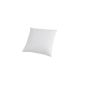 Šumava 749600-30 sofa cushions / 40 x 40 cm / fiberfill (household goods)